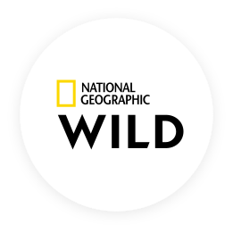 Channel_Icon_NatGeoWild